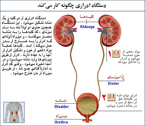 تصویر مرتبط